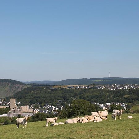 Ferienwohnung Auf Der Moselhoehe - Naehe Koblenz Und Cochem Dieblich Extérieur photo