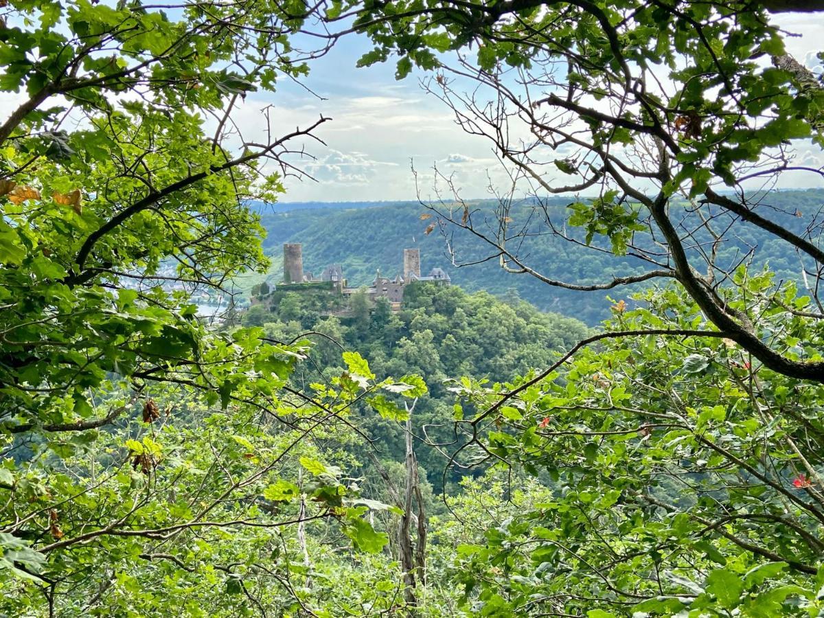Ferienwohnung Auf Der Moselhoehe - Naehe Koblenz Und Cochem Dieblich Extérieur photo