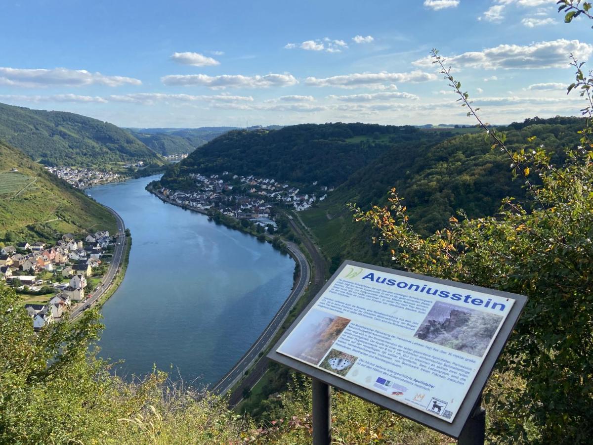 Ferienwohnung Auf Der Moselhoehe - Naehe Koblenz Und Cochem Dieblich Extérieur photo