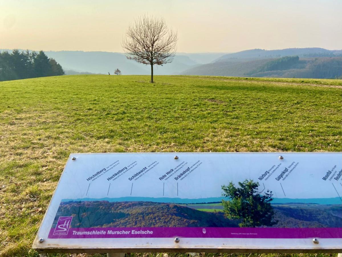 Ferienwohnung Auf Der Moselhoehe - Naehe Koblenz Und Cochem Dieblich Extérieur photo