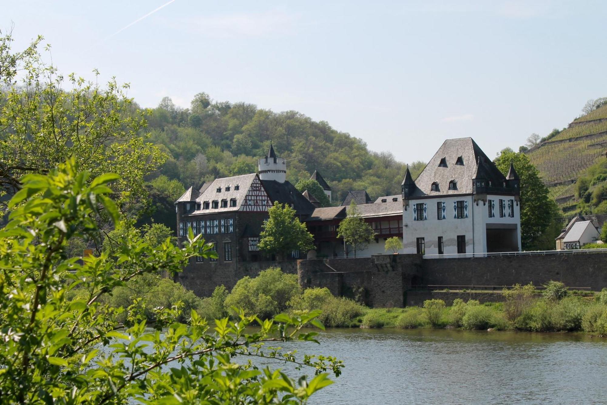 Ferienwohnung Auf Der Moselhoehe - Naehe Koblenz Und Cochem Dieblich Extérieur photo