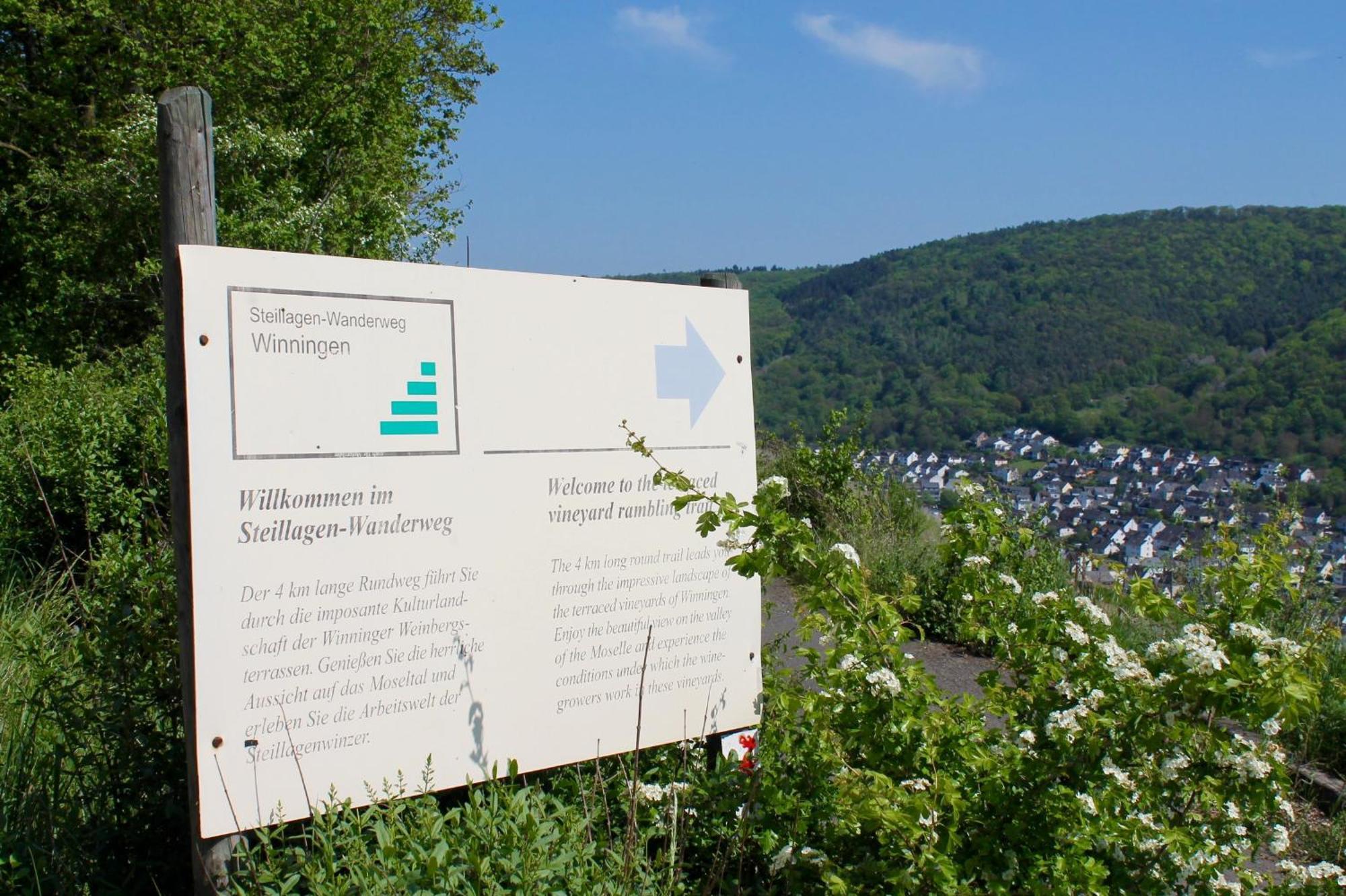Ferienwohnung Auf Der Moselhoehe - Naehe Koblenz Und Cochem Dieblich Extérieur photo