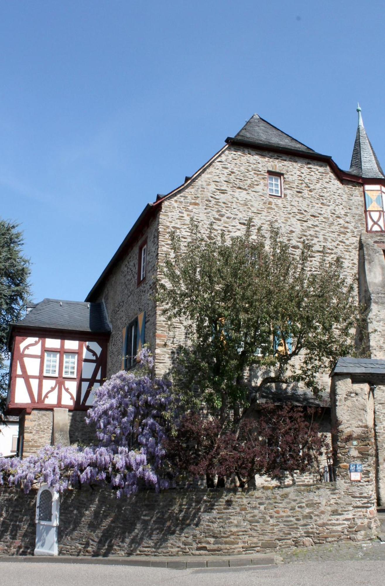 Ferienwohnung Auf Der Moselhoehe - Naehe Koblenz Und Cochem Dieblich Extérieur photo