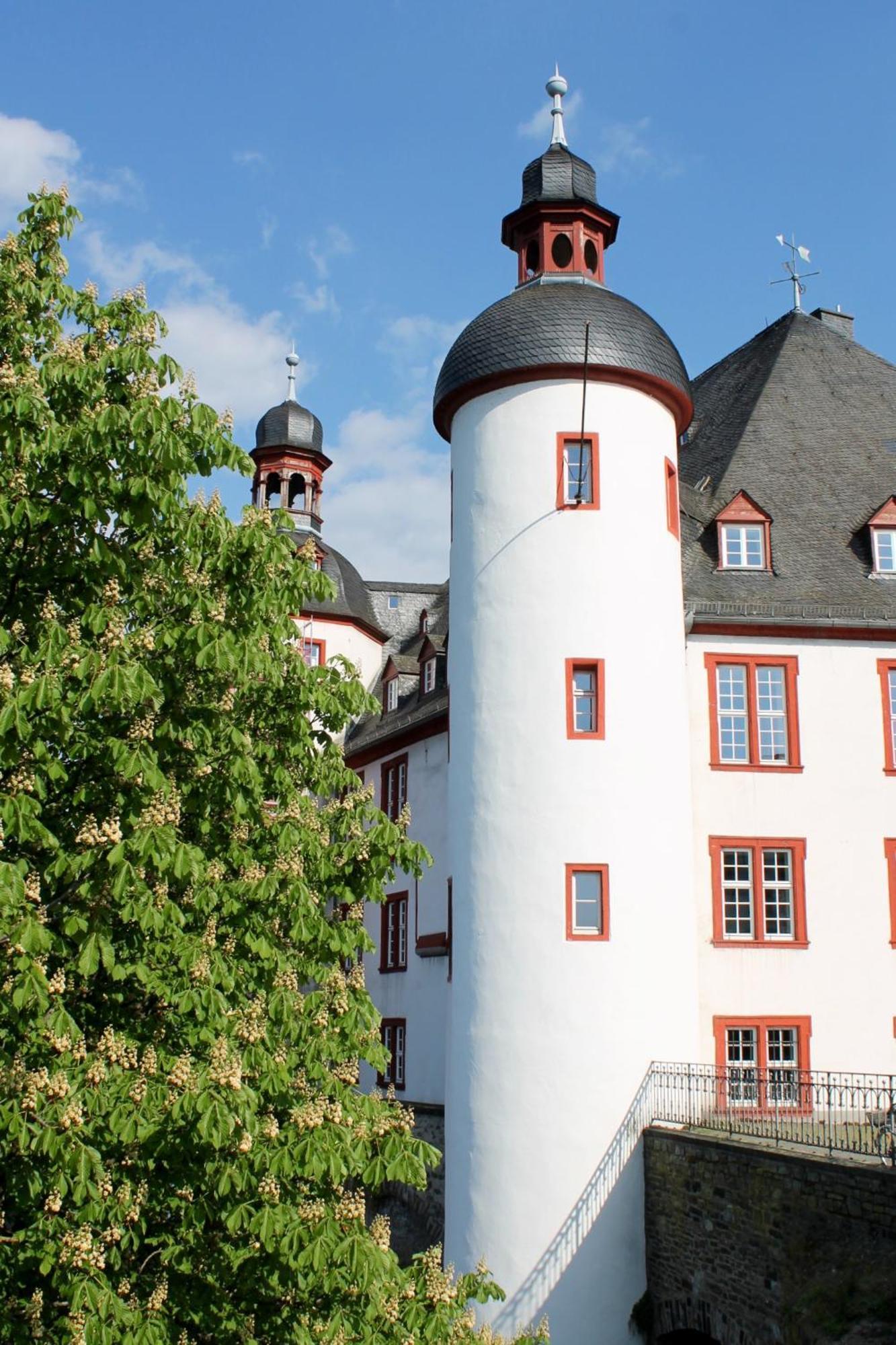 Ferienwohnung Auf Der Moselhoehe - Naehe Koblenz Und Cochem Dieblich Extérieur photo