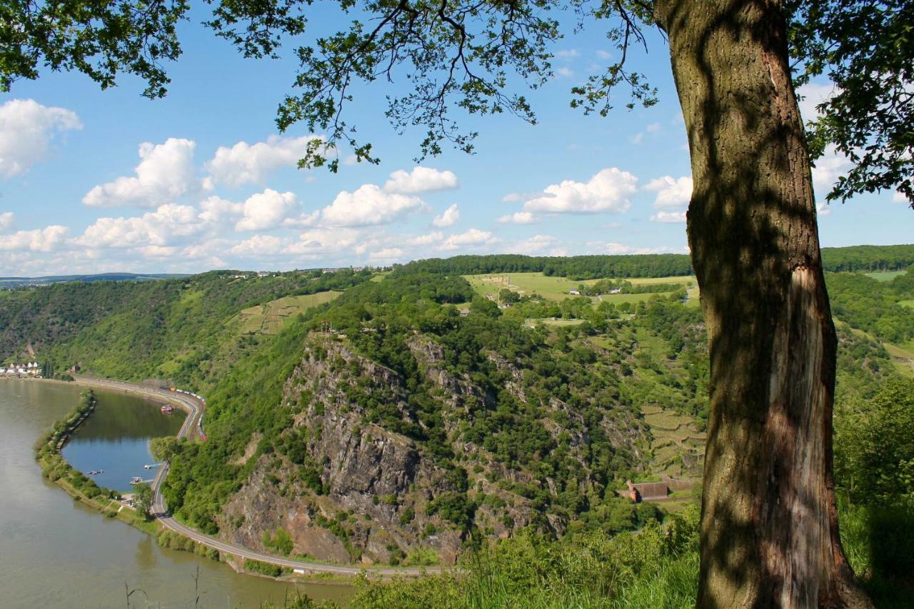Ferienwohnung Auf Der Moselhoehe - Naehe Koblenz Und Cochem Dieblich Extérieur photo